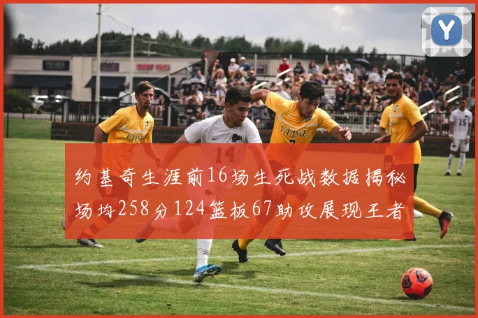 约基奇生涯前16场生死战数据揭秘场均258分124篮板67助攻展现王者风范